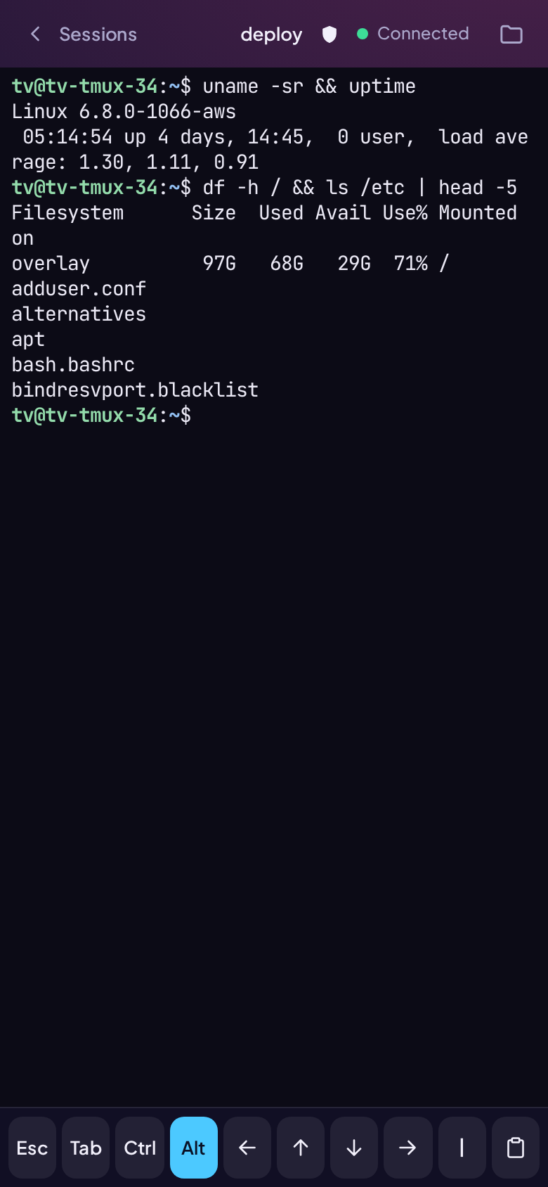 A session on a phone, with the extra-key bar and Alt armed